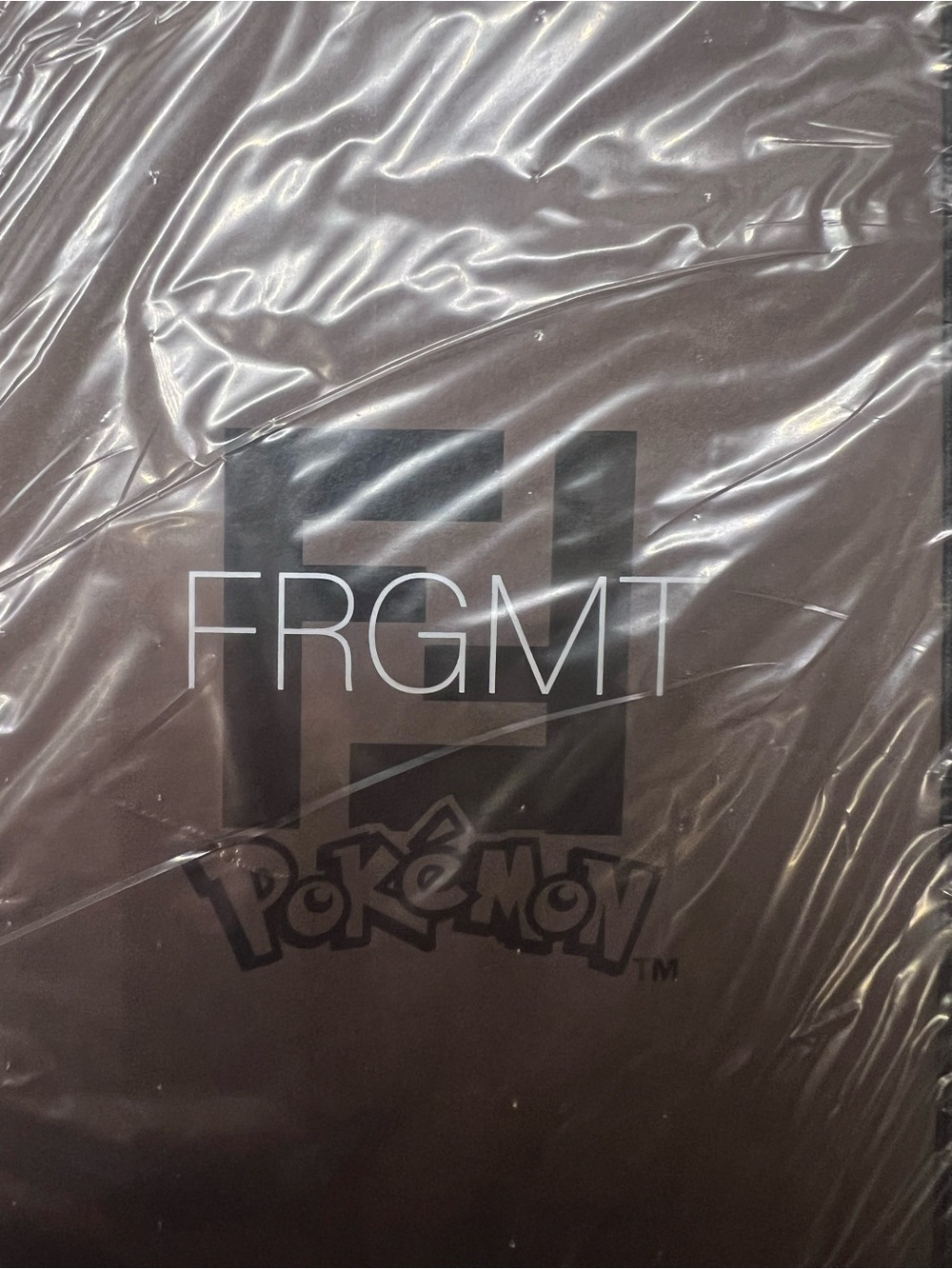 Frgmt Pokémon x Fendi brown notebook NWT